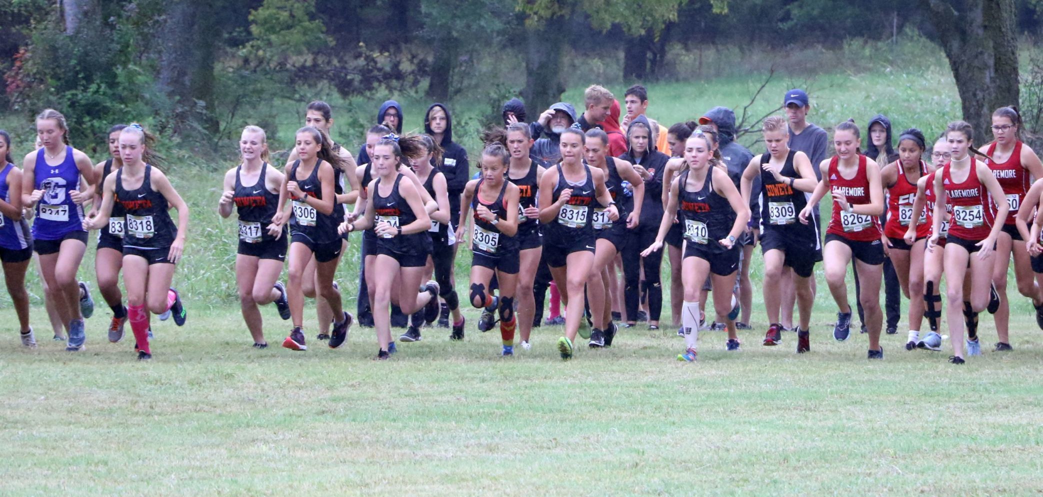 Honorable mention: Cleveland, Collinsville, Coweta